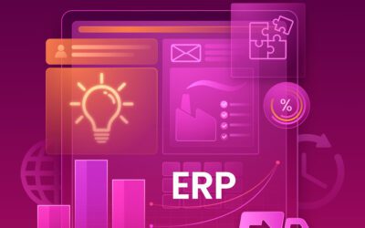 Why do ERP systems tend to be so slow?