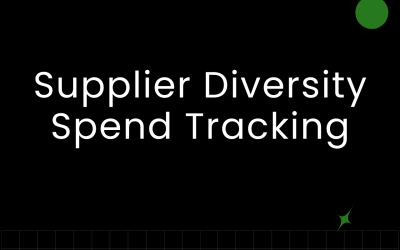 Supplier Diversity Spend Tracking